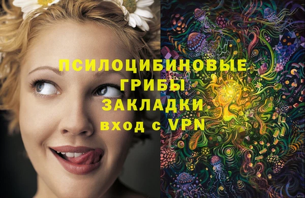 соль ск Бронницы