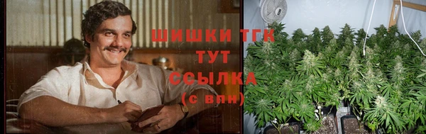 ALPHA PVP Осинники